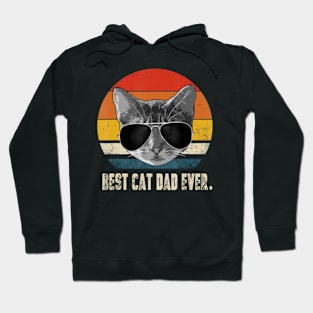 Best Cat Dad Ever Vintage Retro Cat Daddy Cat Father Hoodie